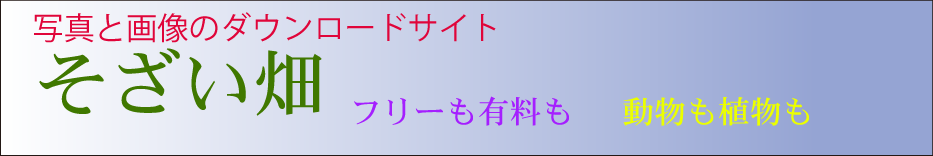 駅降り、ウェブサイト用画像『そざい畑』